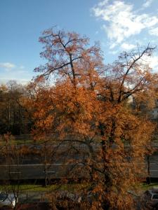 Camera FV-5 2.79.3~01.jpg