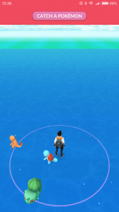 Screenshot_2016-07-21-13-38-48_com.nianticlabs.pokemongo.png