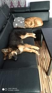 2018-02-11 14.51.59.jpg