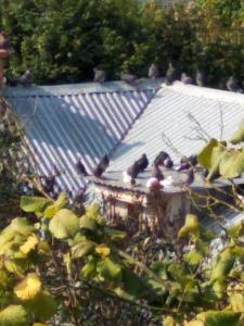 widok z przybliżenia 3.jpg