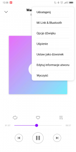 Screenshot_2018-12-07-12-08-38-875_com.miui.player.png
