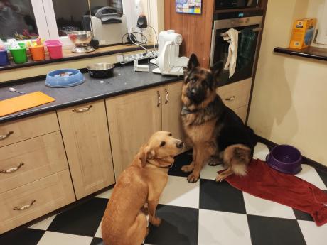 2019-07-15 22.34.04.jpg