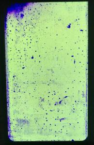 Xiaomi zdj ekranu.jpg