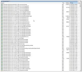 Screen Shot 08-24-22 at 09.33 AM.JPG