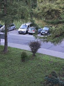 IMG_20230928_081814 (Kopiowanie).jpg