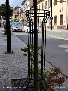 IMG_20240810_120755 (Kopiowanie).jpg