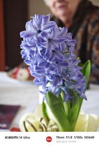 1741765788957 - 1K JPEG.jpg