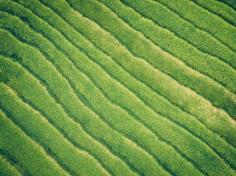 Xiaomi na liście Forbes ESG 50